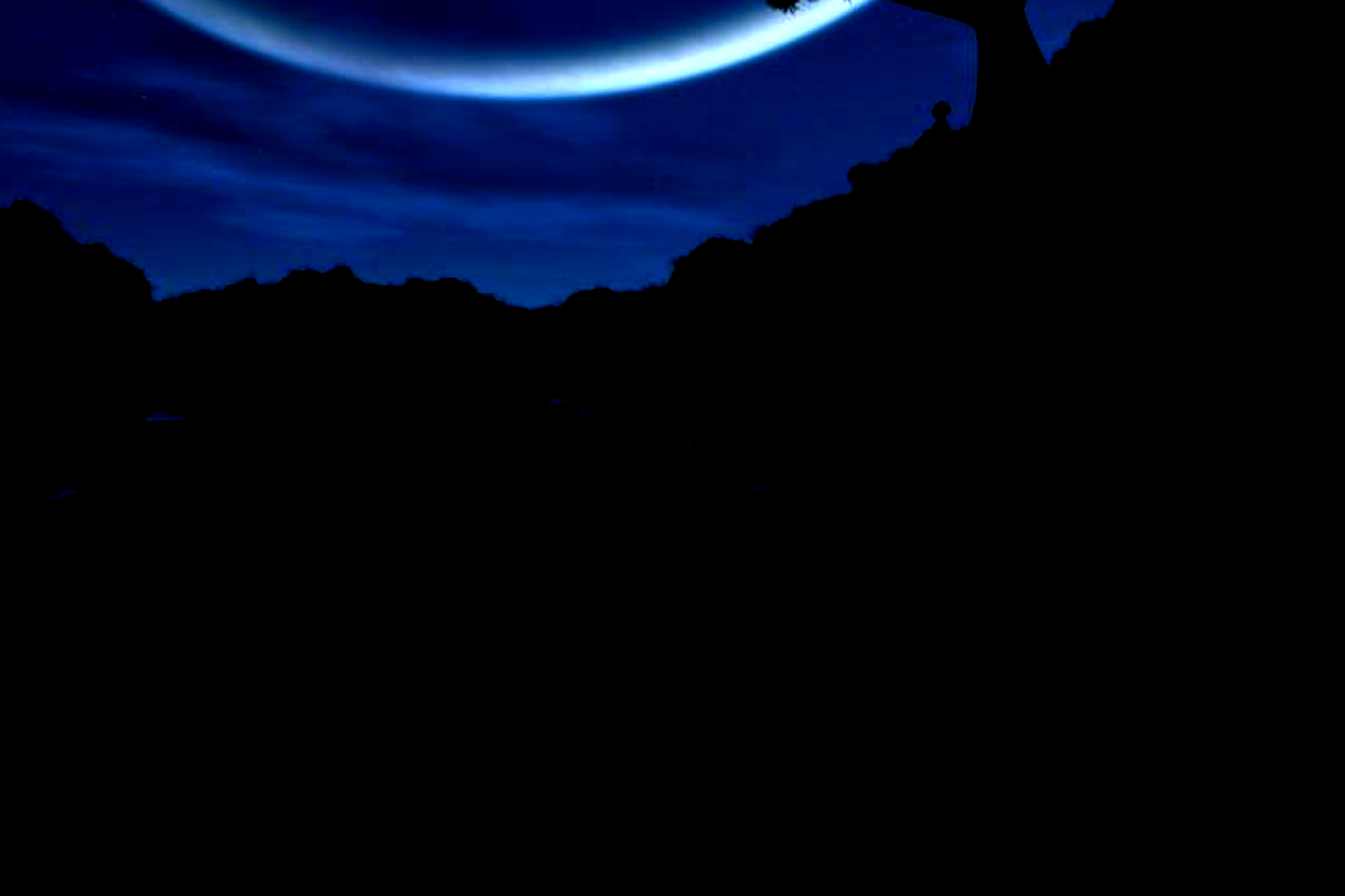 Pet Background