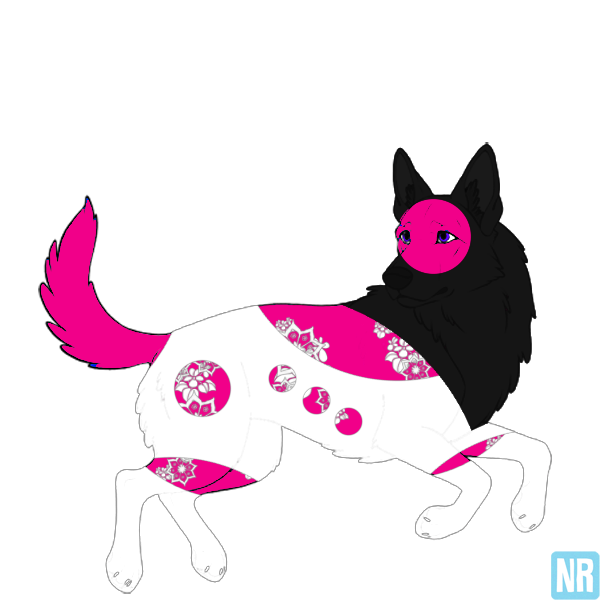 Pet