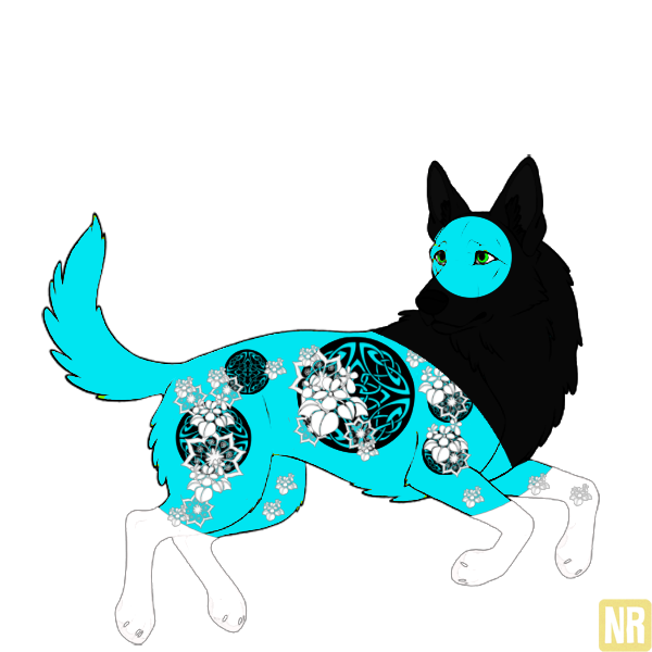 Pet