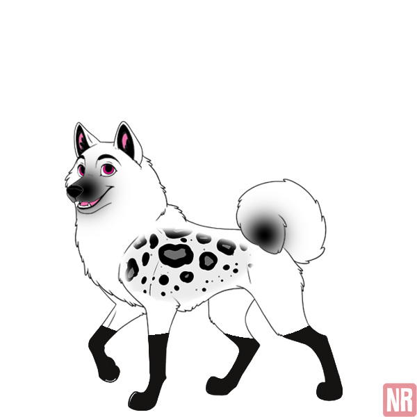 Pet