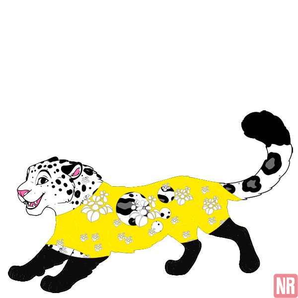 Pet